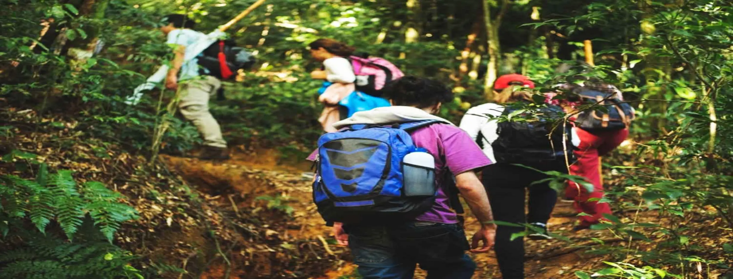 Image for Ecotourism Trails
